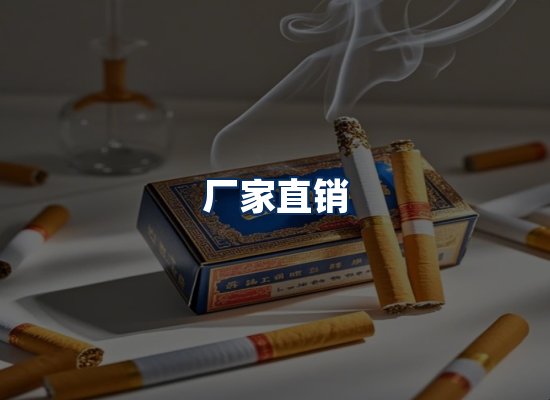 专业团队办公环境
